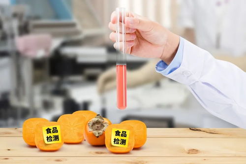 史上最嚴《四川省中小學校食品安全管理辦法》正式實施，守護學生餐飲服務安全